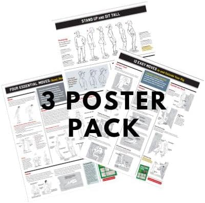 3 Pack - Simple Fitness On the Go | Fit As You Go | Trucking Fitness & Trucking Yoga Posters - Posture, Daily Movements, Truck Cab Exercises, Stretches | For Breakrooms, Terminals, Gyms, Truck Stops