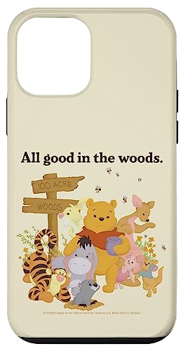 Coque iPhone 12 mini Disney Winnie Pooh étui antichoc transparent motif