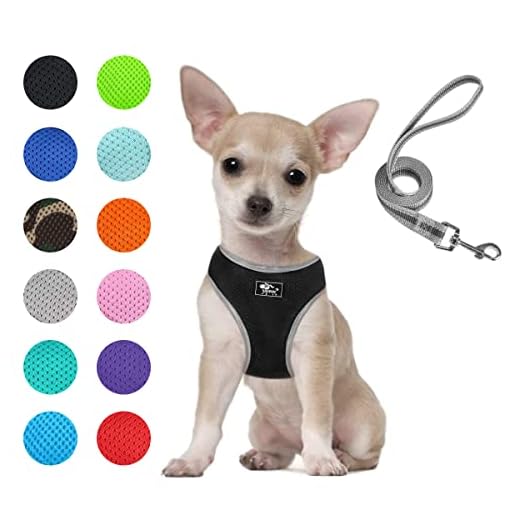 Puppy Harness and Leash Set - Dog Vest Harness for Small Dogs Medium Dogs- Adjustable Reflective Step in Harness for Dogs - Soft Mesh Comfort Fit No Pull No Choke (XS, Black)