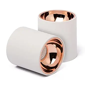 Harold Electricals 12W White Body Antiglare Surface Cylindrical Downlight COB Spotlight for Home, Office, Showroom, Studio, Indoor & Outdoor Lighting - Warm White Light( Rose Gold Reflector) Pack of 1