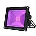 30W Luce Nera UV,OUSIDE UV LED Faretto Lampada Ultravioletta con 1,3m Spina,Luce di Inondazione LED IP65 Impermeabile Blacklight Decorare per Acquario,Festa,Pittura Fluorescente,Poster Fluorescente