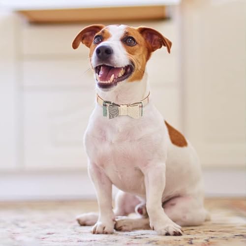 Dog Collar and Leash with Bow Tie for Small Dogs - Puppy Leash Collars Classic Beige Plaid Adjustable Size with Golden Bell, Perfect for Small Breeds and Boys