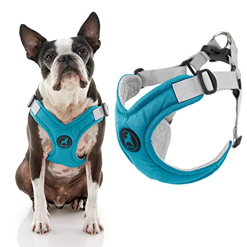 Gooby Memory Foam Step In Harness,Türkis, Groß,No Pull Small Dog Harness Patentierter Erstickungsfreier X-Rahmen,Perfekt Unterwegs Hundegeschirr für mittelgroße Hunde kein Ziehen oder kleine Hunde