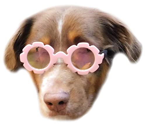 G001 Dog Pet Costume Prop Round Sunglasses Medium Breeds 20-40lbs (Flower Pink-Pink Mirror) - Image 2