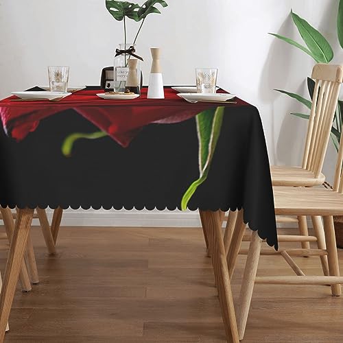 Nappe résistante aux taches et aux plis pour protéger votre table