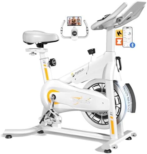 Exercise Bikes for Home,Indoor Magnetic Bike with Adjustable Magn...