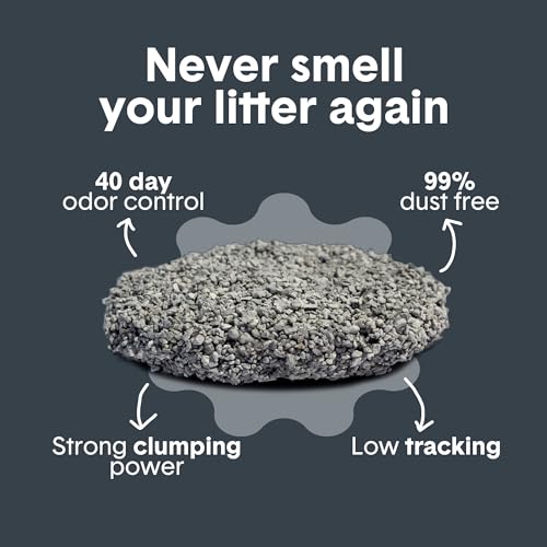 Boxie Probiotic Cat Litter, 40 Day Odor Control, Clumping Clay Kitty Litter, Odor Eliminating Probiotics, Dust-Free, No Fragrances No Fillers, 16 lb