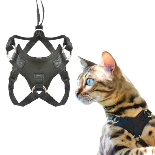 7 EscapeProof Maine Coon Harnesses