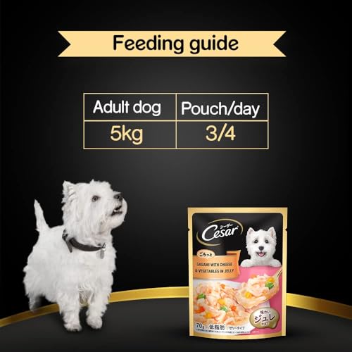 Image of Cesar Premium Adult Wet Dog Food, Sasami with Cheese & Vegetables in Jelly, 70gm