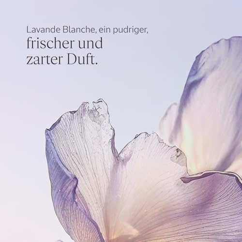 Lavande Blanche L'OCCITANE réconfort d'un parfum délicat aux notes musquées 50 ml