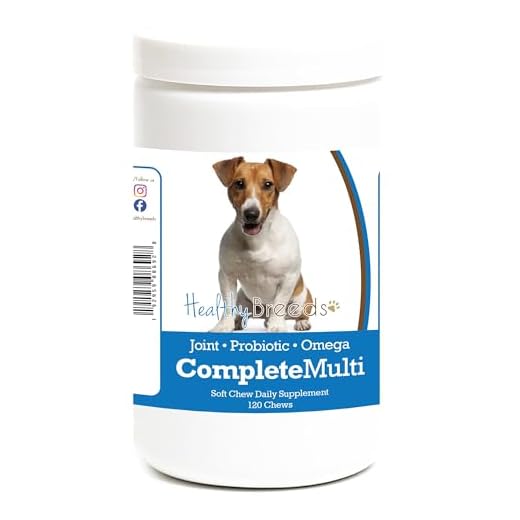 Healthy Breeds Jack Russell Terrier All in One Multivitamin Soft Chew 120 Count