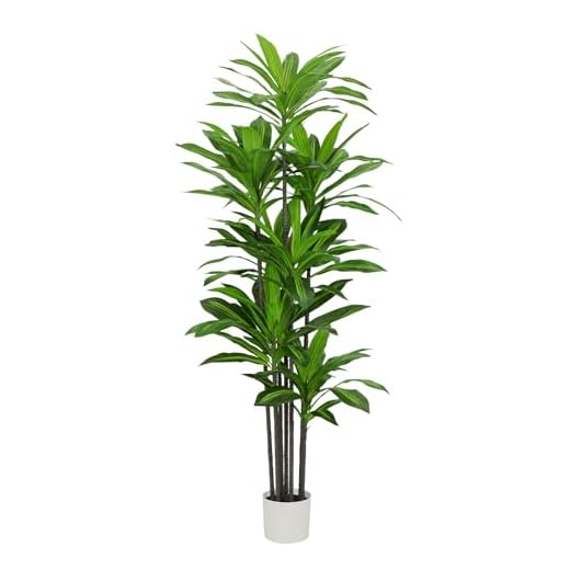 6 FT Tall Faux Dracaena Tree Decor