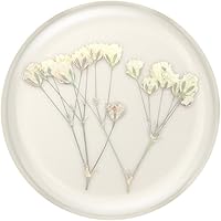 Vista 5 de PopSockets Agarre para Teléfono con Soporte Expandible, Agarre Adhesivo - Flor Prensada Aliento de Bebé