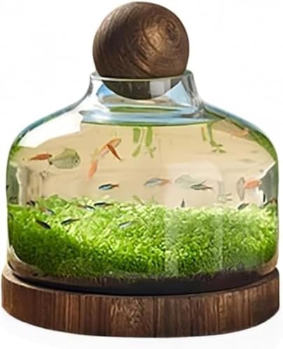 AOBOPO  uaKXbƒpCeA ؐgCtEGRfށb{gEhXP[vpbk͔|E}CNhXP[vɍœK