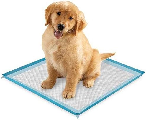 Select Companion Puppy Pee Pads with Scent Remover, 23 by 22 Inches - Pack of 100