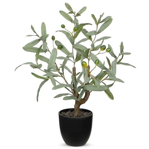 Briful Small Faux Olive Tree 18.9' Artificial Olive Plant with Black Pot Decorative Fake Olive Tree...