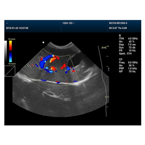 CONTEC CMS1700A-VET/Veterinary Color Doppler ultrasonic Systems (Vet use Convex Probe)