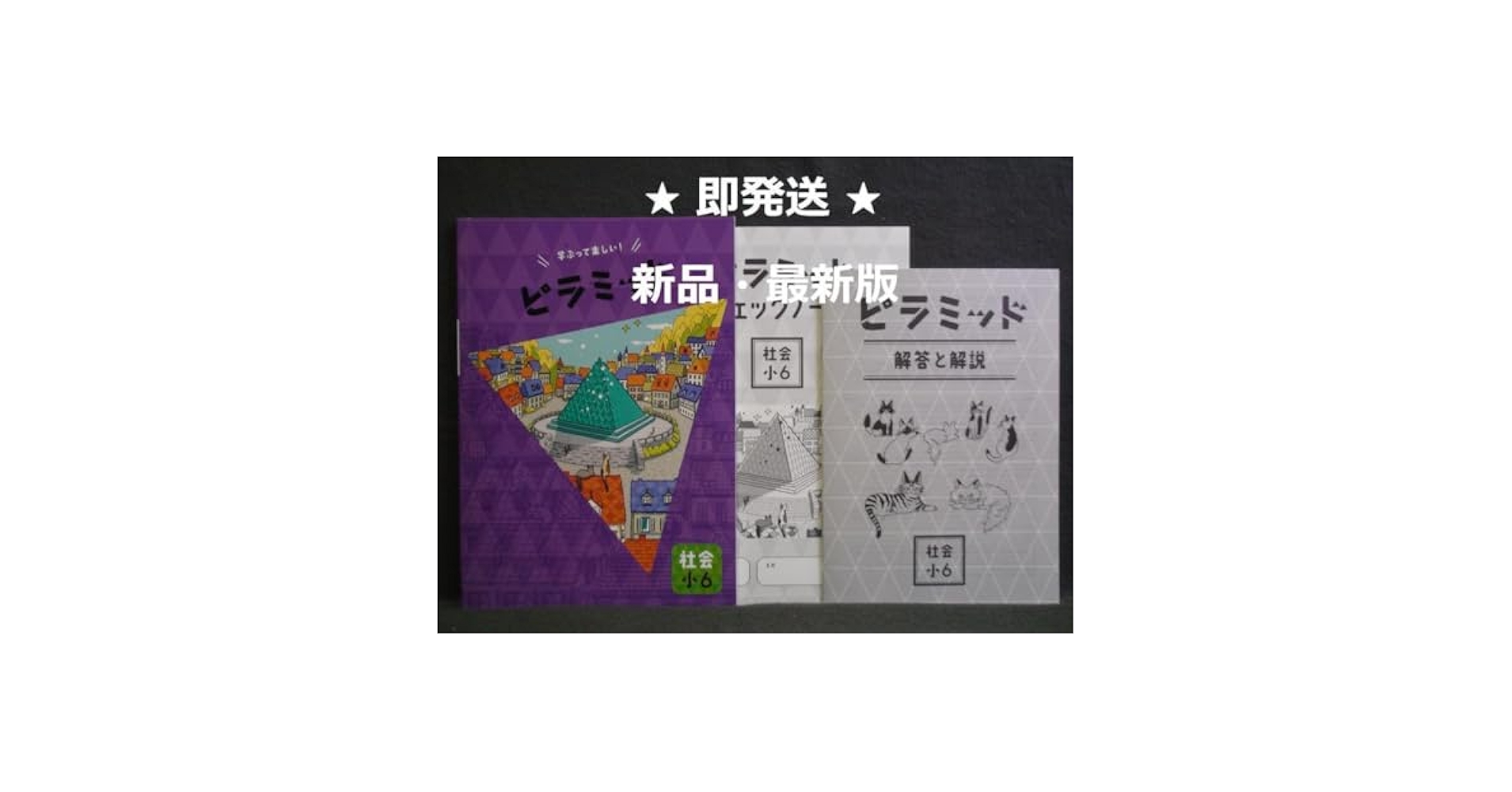【最新版】 新品 ピラミッド問題集 国語 小６他【解答付】 ピラミッド 国語 小6 2024年改訂版 【プログレス+オリジナル付箋