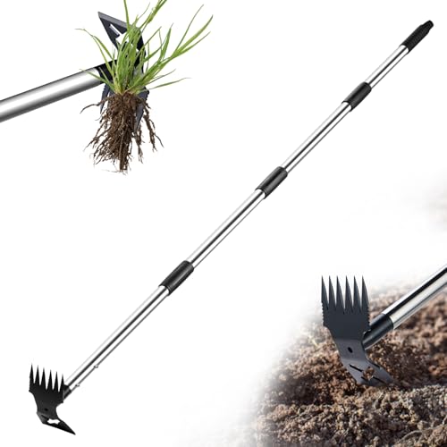 LAWFYMORI Hoe Garden Tool with Long Handle