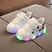 Riou Zapatos LED Niños Niñas Zapatillas Deportivas Unisex Calzado Deportivo Luces Zapatos...