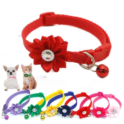 XXS ̎ ԂԁAL̎ ^ ̎q L L[g ԕ  j  XS S Ȏq ̎q j̎q ybg  Pbe [L[ `