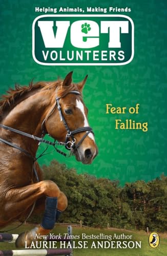 Fear of Falling (Vet Volunteers)