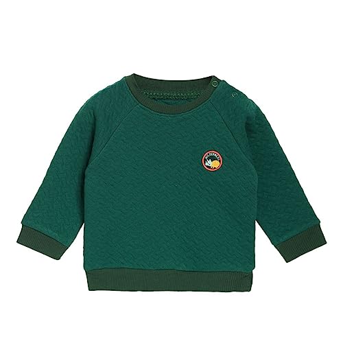 Image of miniklub Boys Green Solid Sweatshirt