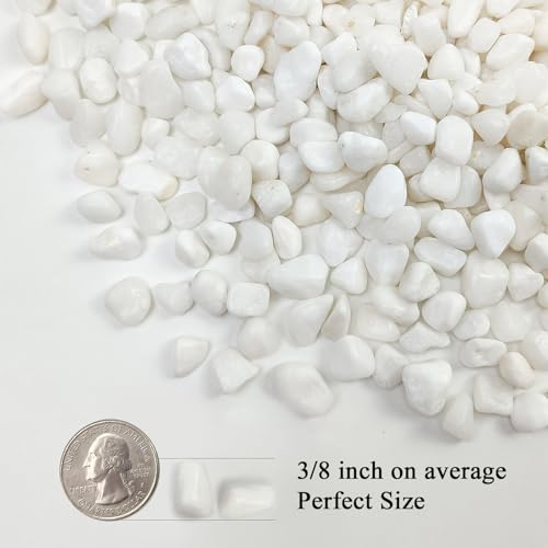 Image of FANTIAN 5 lbs White Pebbles for Indoor Plants, 3 /8 Inch Decorative White Gravel, Polished River Rocks for Potted Plants Vase Cactus Bird Bath and Outdoor Garden Landscaping