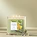 Yankee Candle Sage & Citrus, Scented Candle, 14.5oz 3-Wick Candle Jar with up to 40 Hours Burn Time, Giftable