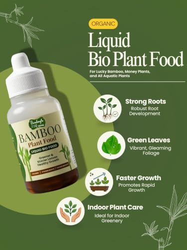 Image of Bombay Greens Liquid Bamboo Food for Plants | Growth Booster for Water Grown Plants | Essential Nutrient Plant Booster for Indoor Bamboo, Dracaena Plants - Pack of 2, 50ml Each