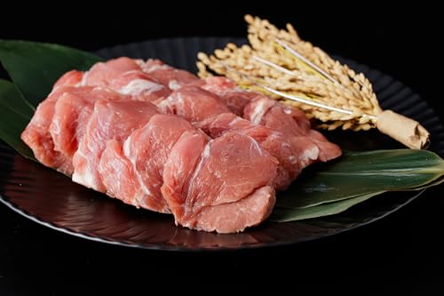 諫美豚 ヒレ肉 (カツのみ)600g / 豚肉 肉 ヒレ とんかつ トンカツ /