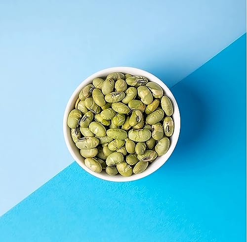 The Only Bean Crunchy Dry Roasted Edamame Snacks (Sea Salt),18 Ounce (Pack of 1)