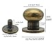 Denailey 12 Sets Solid Brass Round Head Button Stud Screw Leather Rivet Chicago Screws Button Rivets for Leather Craft Belt Wallet Handbag Repairs Decoration (Round Head Size 8mm, Shiny Light Gold)
