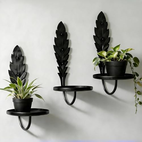 mxyteabz Black Wall Plant Holder Indoor - Set of 3
