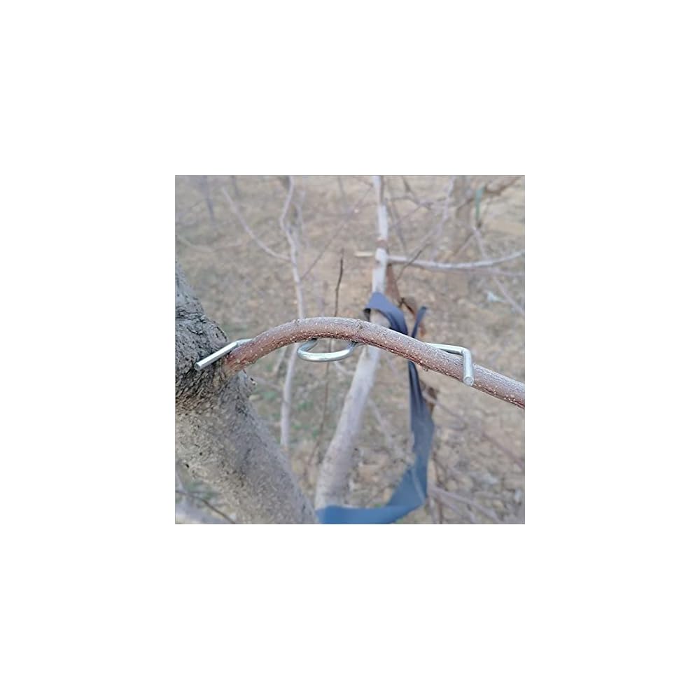 Buy LEILINFruit Tree Branch Puller Tying Machine Farm Tools New Plum