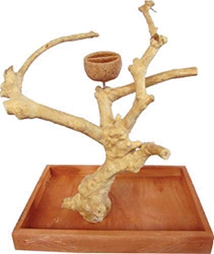 A&E Cage Company AE500S Java Wood Table Top Play Stand