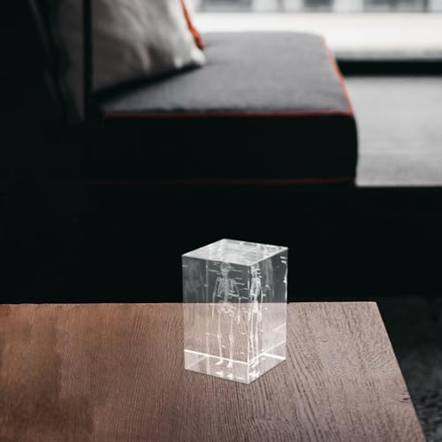 Modèle anatomique en cube 3D pour réviser et comprendre la médecine - 6