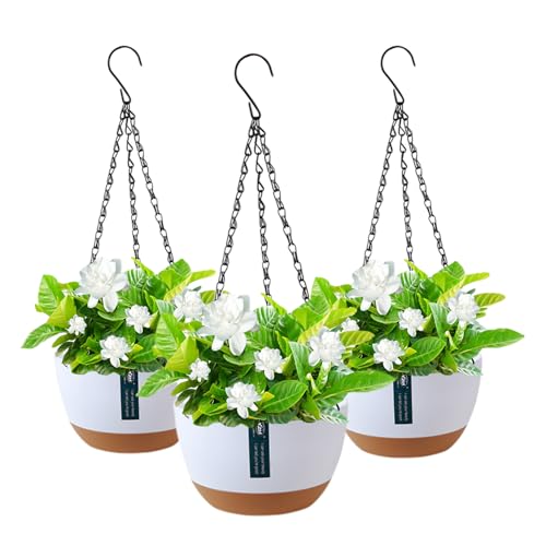 Cnwinu 3 Stück Blumentopf Hängend, Blumenübertopf aus Kunststoff, Metallkette Haken Abnehmbarer Hängende Blumentöpfe, Hängender Blumentopf Innen Blumenampel Außen, Garten, Wanddekoration Cnwinu 3 Stück Blumentopf Hängend, Blumenübertopf aus Kunststoff, Metallkette Haken Abnehmbarer Hängende Blumentöpfe, Hängender Blumentopf Innen Blumenampel Außen, Garten, Wanddekoration