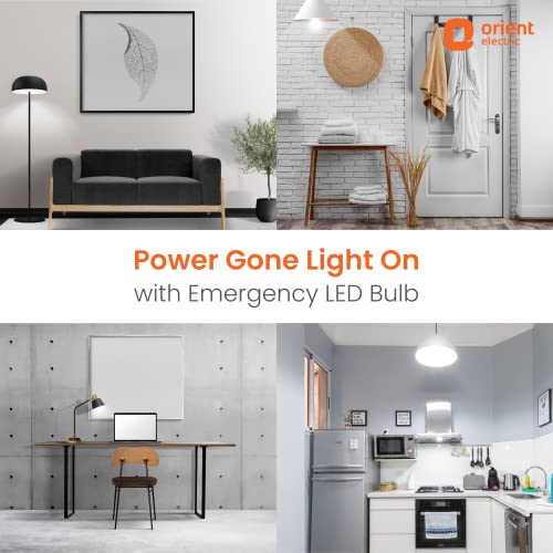 Image of Orient Electric Emergency /Inverter Lamp (15 W, Pack of 2)