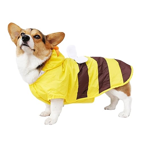 nikkai؁j CR[g ^ ^   ~co` tďH~ [h y t J̓ ~J SSTCY