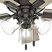 Hunter 42 inch Indoor Ceiling Fan with LED Lights and Pull Chain - Low Profile Mount Ceiling Fan, 5 Blades, For Bedroom, Living Room, or Kitchen, Quiet - Crestfield 52153, Noble Bronze