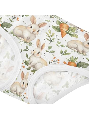 ZZKKO Cute Rabbits and Carrots Girls Underwear Toddler Panties for Girls Comfort Brief Size 2T4