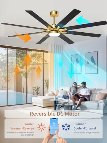 Image of LANMEL Ceiling Fan with Light, Modern Flush Mount Low Profile with Remote Control, Reversible, 3CCT Dimmable, Quiet,LED for Bedroom, Living Room, Indoor /Outdoor Patio Use 72 Inch Gold & Black