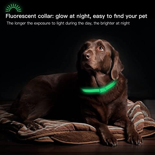 DEWEL Leuchtendes Zeckenhalsband für Hunde, Zeckenhalsband Leuchthalsband Hund Verstellbar Floh-und Zecken Prävention Halsbänder Wasserdicht Fluoreszierendes Flohhalsband gegen Ungeziefer, 63.5cm