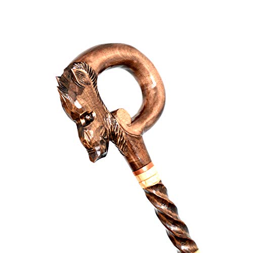 oleksandr.victory Gehstöcke aus Holz, handgeschnitzt, handgefertigt, Zubehör (Wildschwein) Cover