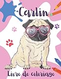  Carlin Livre de Coloriage: Découvrez une Collection de Dessins de Carlins Amusants et Uniques I Un Magnifique Livre d\'Activités Pour Enfants et Adultes