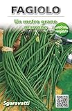 Semi fagioli rampicanti fagiolini a metro semen semillas seeds graines