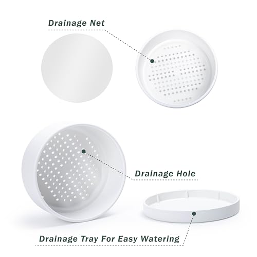 Pot de bonsaï rond en plastique 25 cm blanc avec drainage D'vine Dev - 6