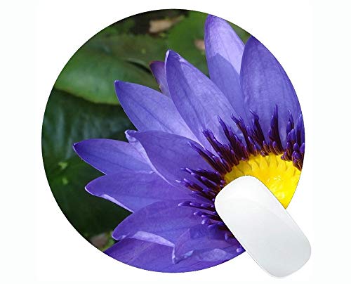 ���b�L���O�G�b�W�t���s���N���[�^�X���E���h�}�E�X�p�b�h - �p�[�v��Nymphaea Alba�p�[�\�i���C�Y�����`�Q�[�~���O���E���h�}�E�X�p�b�h