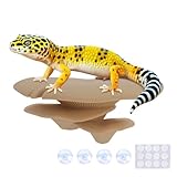 Westant Mushroom Decor for Reptile Tank, Fish Tank, Pet-Safe Bearded Dragon Tank Accessories, Realistic Terrarium Plants for Leopard Geckos, Crested Geckos, Tree Frogs, Snakes (Almond, Trio Cap)